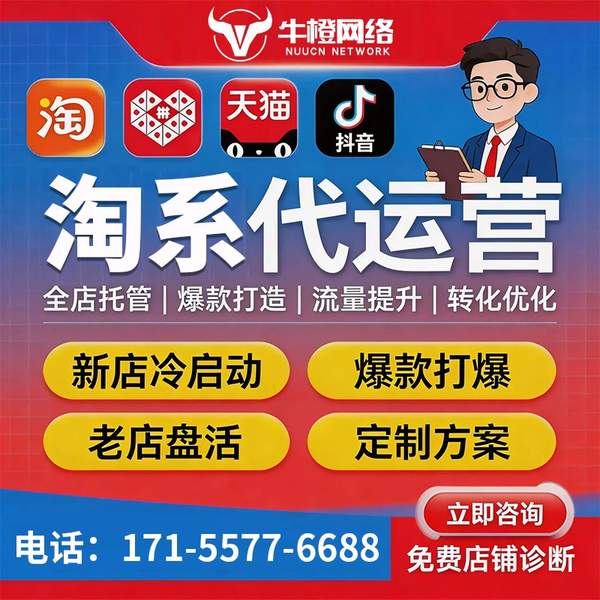 鞍山电商代运营