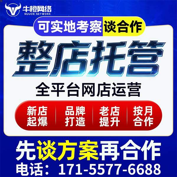 鞍山电商代运营