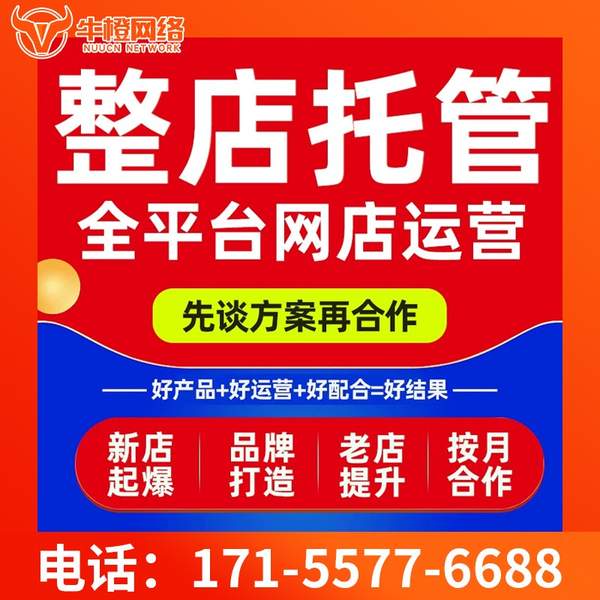 鞍山电商代运营