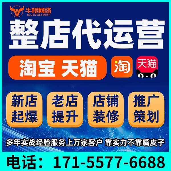 鞍山电商代运营