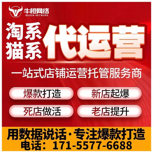 鞍山电商代运营